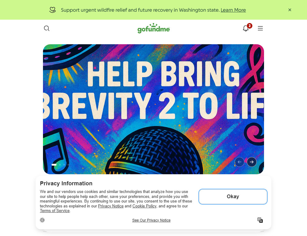 GoFundMe — Brevity 2 album